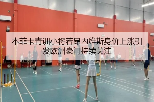 本菲卡青训小将若昂内维斯身价上涨引发欧洲豪门持续关注