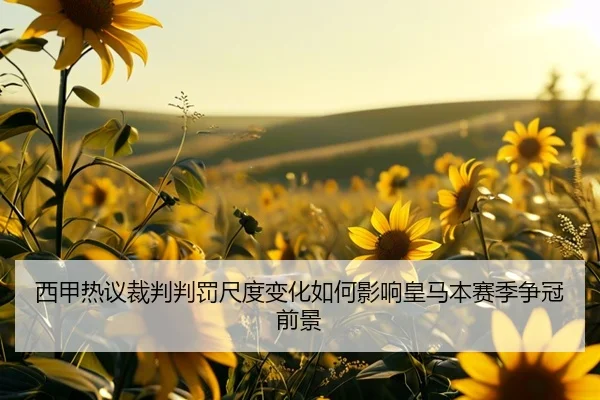 西甲热议裁判判罚尺度变化如何影响皇马本赛季争冠前景